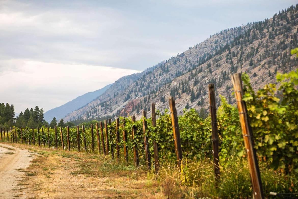 Similkameen Wild Resort & Winery Retreat อซูยูส ภายนอก รูปภาพ